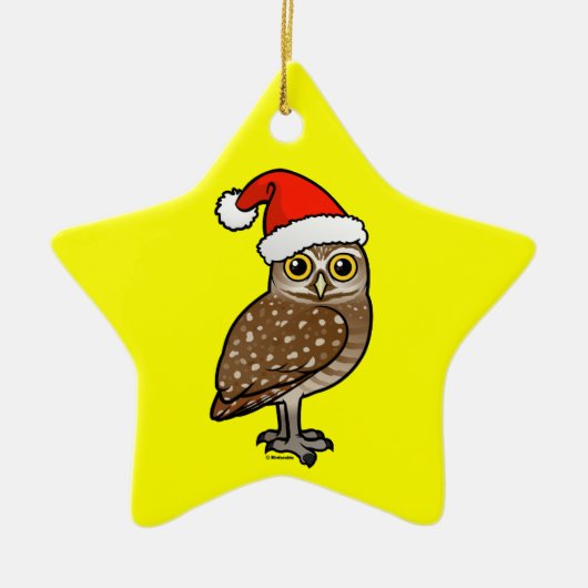 Santa Burrowing Owl Keramisch Ornament (Voorkant)