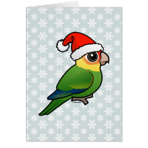 Santa Carolina Parakeet