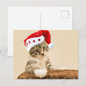 Santa Cat Briefkaart (Voorkant / Achterkant)