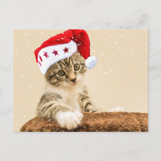 Santa Cat Briefkaart (Voorkant)