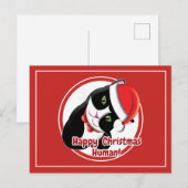 Santa Cat Briefkaart (Voorkant / Achterkant)