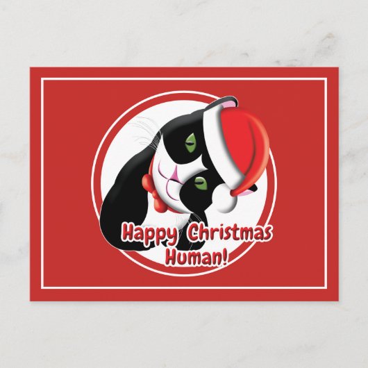 Santa Cat Briefkaart (Voorkant)