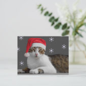 Santa Cat-Briefkaart Feestdagenkaart (Staand voorkant)