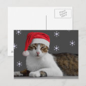 Santa Cat-Briefkaart Feestdagenkaart (Voorkant / Achterkant)