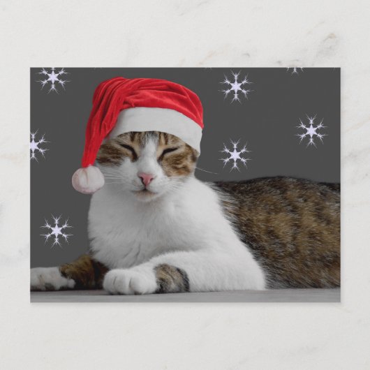 Santa Cat-Briefkaart Feestdagenkaart (Voorkant)