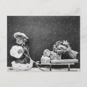 Santa Cat, een kerstkat Briefkaart