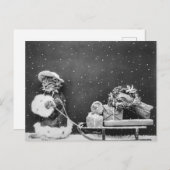 Santa Cat, een kerstkat Briefkaart (Voorkant / Achterkant)