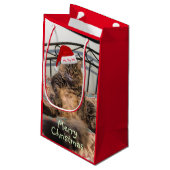 Santa Cat Ho Ho Ho Small Gift Bag Klein Cadeauzakje (Achterkant Gekanteld)