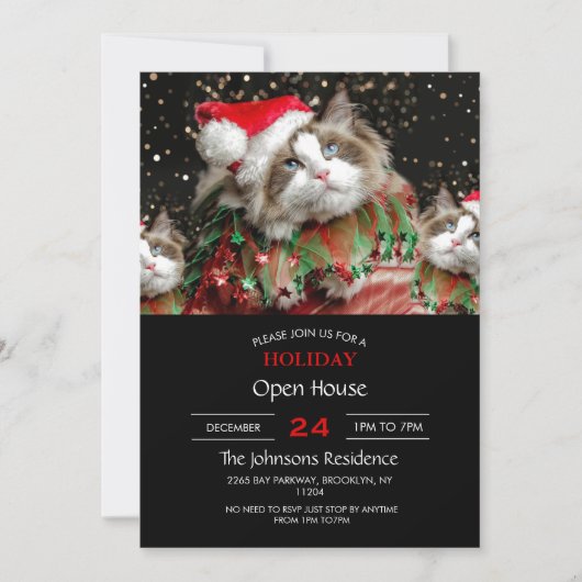 Santa Cat Kaart (Voorkant)