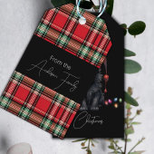 Santa Cat Kitten Kerstmis Rood en Plaid Cadeaulabel