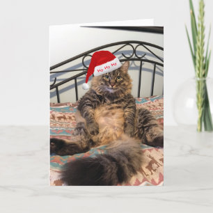 Santa Cat krijgt kerstkaart voor koekjes Feestdagen Kaart