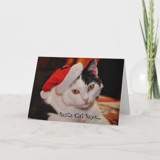Santa Cat Lover Leuke Kerst Kaart (Voorkant)