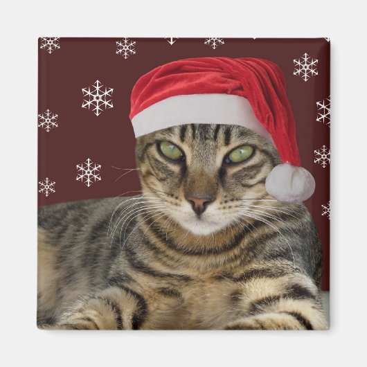 Santa Cat Magnet (Voorkant)