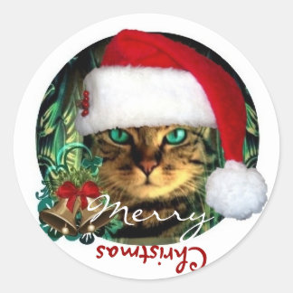 Santa Cat Merry Christmas Sticker