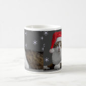 Santa Cat-Mok Koffiemok (Center)