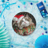 Santa Cat Papieren Bordje (Feest)