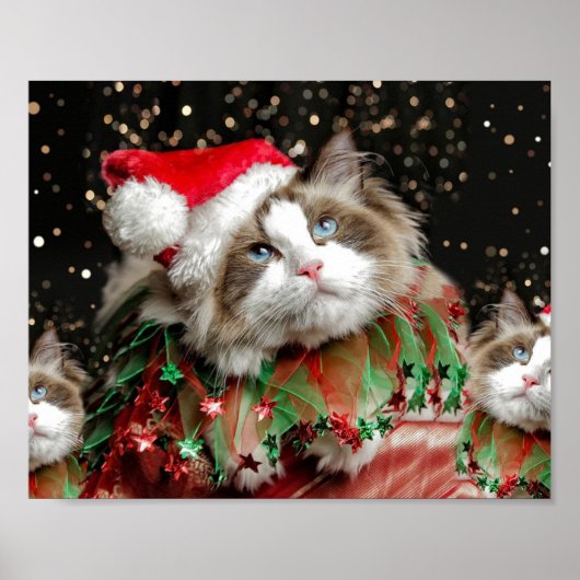 Santa Cat Poster (Voorkant)