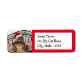 Santa Cat Return-adreslabels Etiket (Voorkant)