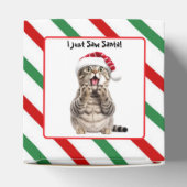 Santa Cat Schattige Funny Christmas Cat Favoriete Bedankdoosjes (Bovenkant)