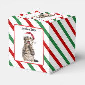 Santa Cat Schattige Funny Christmas Cat Favoriete Bedankdoosjes (Achterkant)