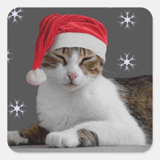 Santa Cat-Stickers Vierkante Sticker (Voorkant)
