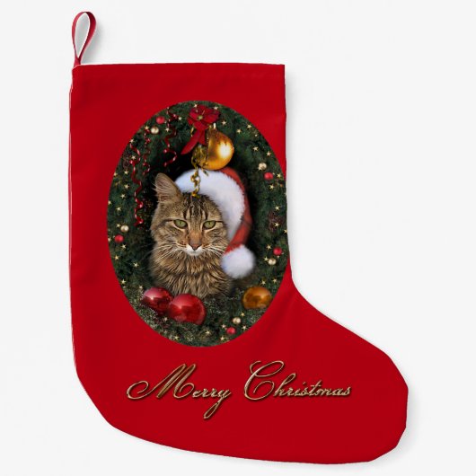 Santa Cat Stocking Kleine Kerstsok (Voorkant)