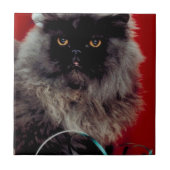 Santa Cat Tegeltje (Voorkant)