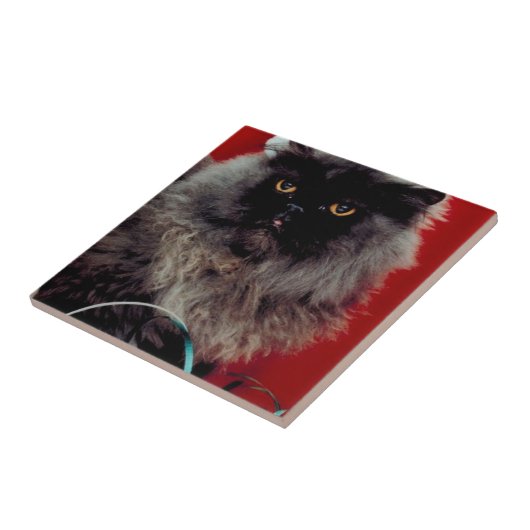 Santa Cat Tegeltje (Zijkant)