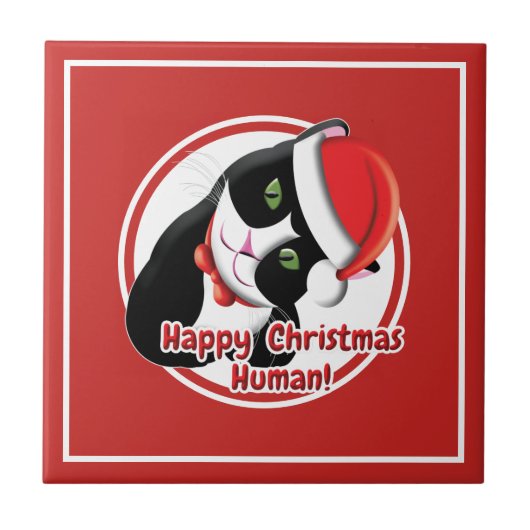 Santa Cat Tegeltje (Voorkant)