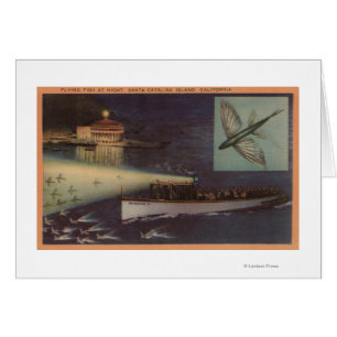 Santa Catalina Island, CA Casino, Vliegende vis