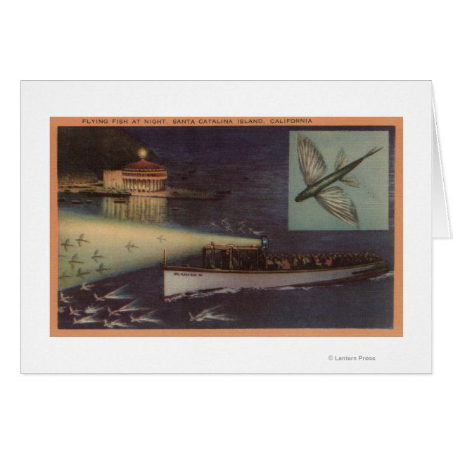 Santa Catalina Island, CA Casino, Vliegende vis (Voorkant Horizontaal)