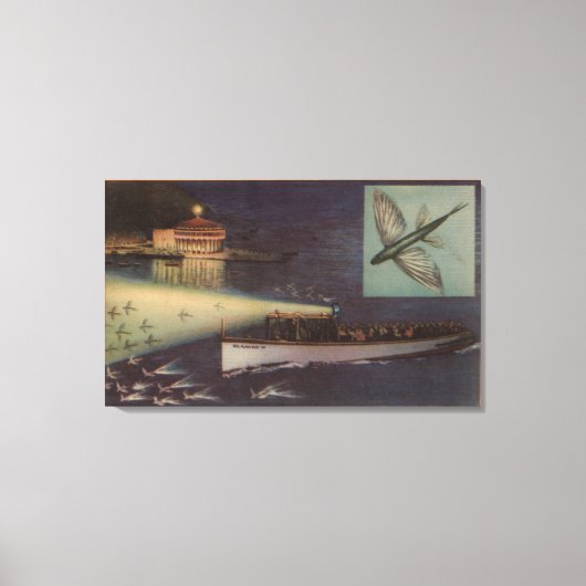 Santa Catalina Island, CA Casino, Vliegende vis Canvas Afdruk (Voorkant)