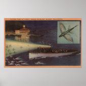 Santa Catalina Island, CA Casino, Vliegende vis Poster (Voorkant)