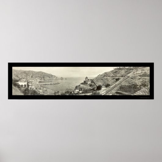 Santa Catalina Island Foto 1914 Poster (Voorkant)