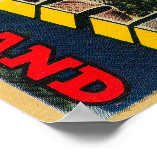 Santa Catalina Island Poster (Hoek)