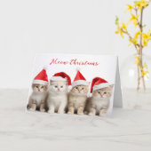 Santa Cats Kaart (Gele Bloem)