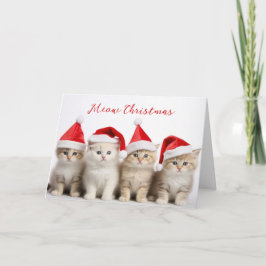 Santa Cats Kaart