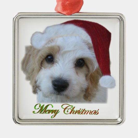 Santa Chase Framed Ornament (Voorkant)