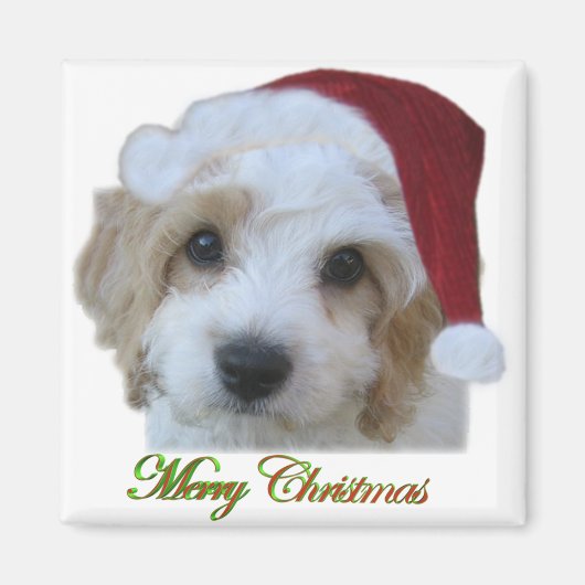 Santa Chase Magneet (Voorkant)