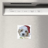 Santa Chase Magneet (Insitu (Vaatwasser))