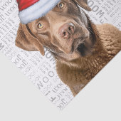 Santa Chesapeake Bay Dog Feestelijke Kerstvakantie Tissuepapier (Detail)