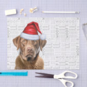Santa Chesapeake Bay Dog Feestelijke Kerstvakantie Tissuepapier (Craft)