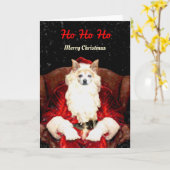 Santa Chihuahua Dog Red Funny Cute Holiday Kaart (Gele Bloem)