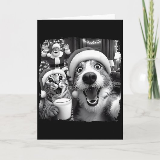 Santa Christmas Funny Cat Taking Selfie Racoon Xma Kaart (Voorkant)
