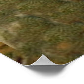 Santa Claus  Antiek kerstboom Poster (Hoek)