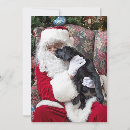 Santa Claus Black Lab Puppy Dog Labrador Kerstmis Feestdagenkaart (Voorkant)