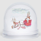 Santa Claus Coup snow globe Sneeuwbol (Voorkant)