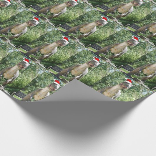Santa Claus Dinosaur Cadeaupapier (Hoek)