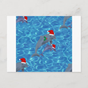 santa claus dolphins feestdagenkaart