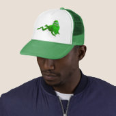 Santa Claus Frog Trucker Pet (In situ)
